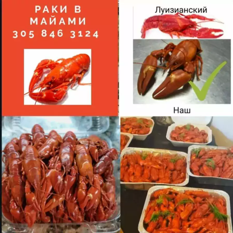Раки в Майами - Другие услуги в Майами