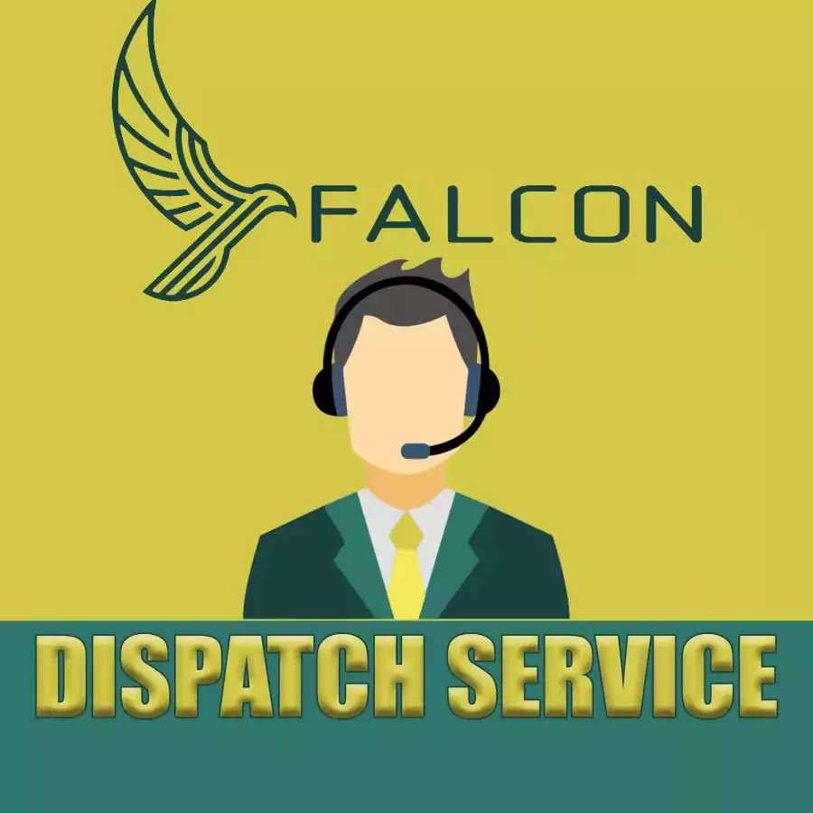 Outsourcing Service in Logistics Sphere - Диспетчерские услуги, Cтрахование и сейфети в США