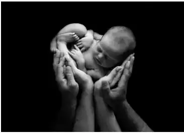 Elena DeChellis Photography (newborn), Middleboro - Фотографы в Бостоне