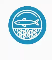 BelkinRoyalCaviar - Магазины в Филадельфии