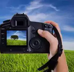 Alena Evteeva Photography - Фотографы в Сакраменто