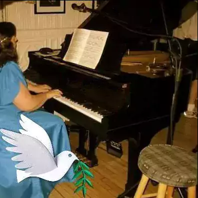 The Art Of Piano Playing & Performing Arts Inc - Уроки игры на музыкальных инструментах в Чикаго