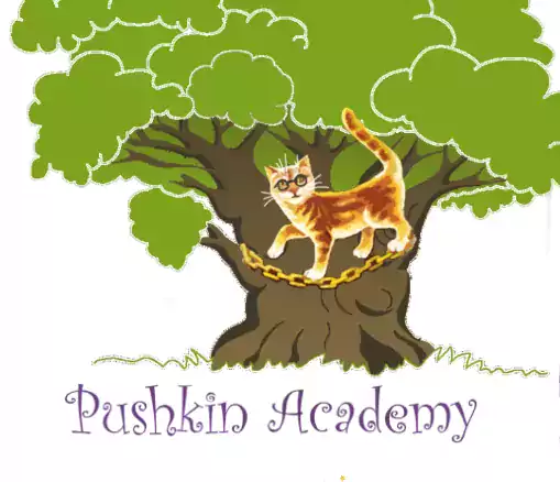 Pushkin Academy - Летний лагерь в Майами