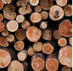 Timber companies - Другие услуги в Шарлотте