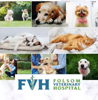 Folsom Veterinary Hospital - Ветеринарные клиники в Сакраменто
