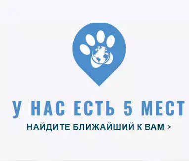 World of Animals at Bethayres - Ветеринарная помощь - Ветеринарные клиники в Филадельфии