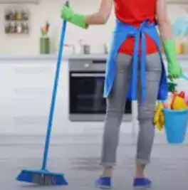 Housewife, Nanny, Cleaner - Уборка / Клининг в Чикаго