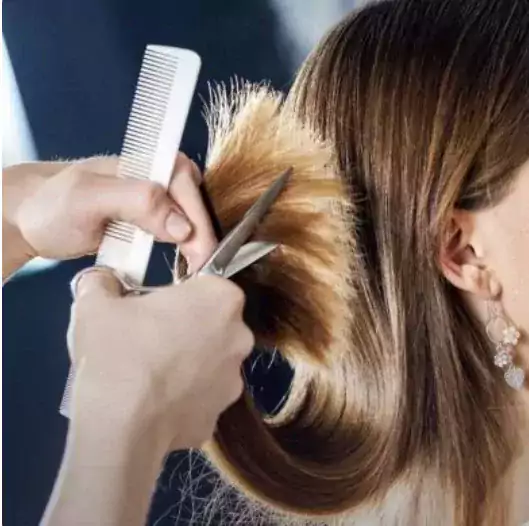 Hairdressing Services - Парикмахерская, Забота о волосах в Шарлотте