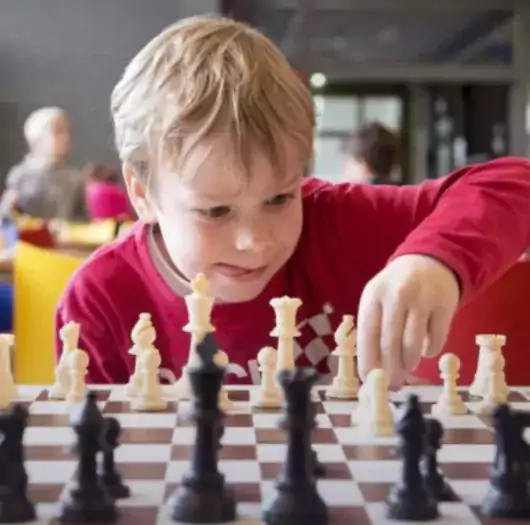 Шахматы, Шашки - Шахматы в Сакраменто