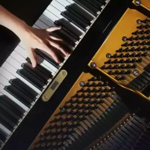 Piano tuner(Настройщик Пианино) - Другие услуги в Нью-Йорке