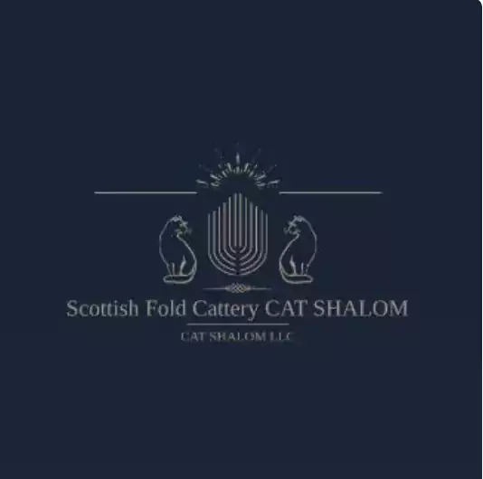 Питомник CAT SHALOM - Другие услуги в Сарасоте