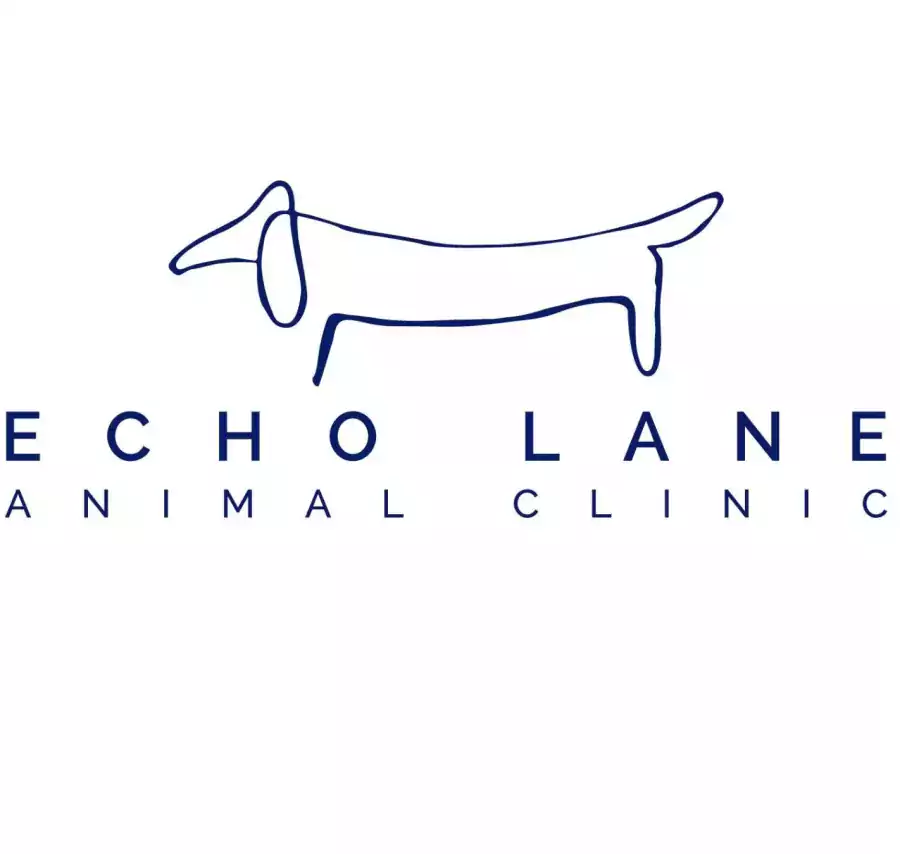 Echo Lane Animal Clinic - Ветеринарные клиники в Хьюстоне