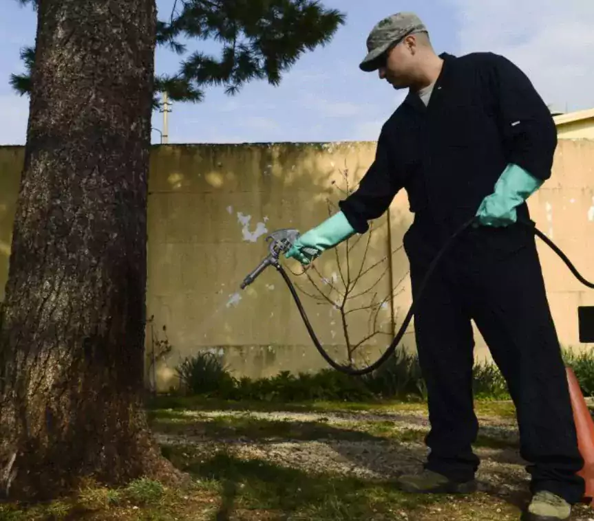 Termite and Pest Solutions - Другие услуги в Джерси-Сити