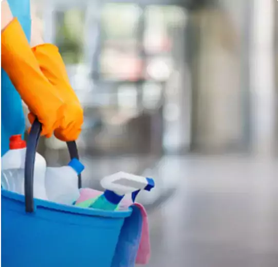 Tatyana, Cleaning of Houses, Apartments, Offices - Уборка / Клининг в Майами