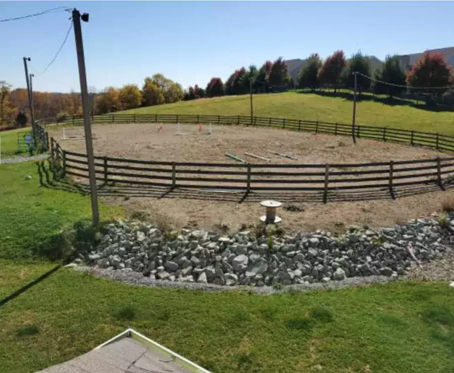 Присмотр и уход за вашей лошадью в Южном Файете - Другие услуги в Питтсбурге