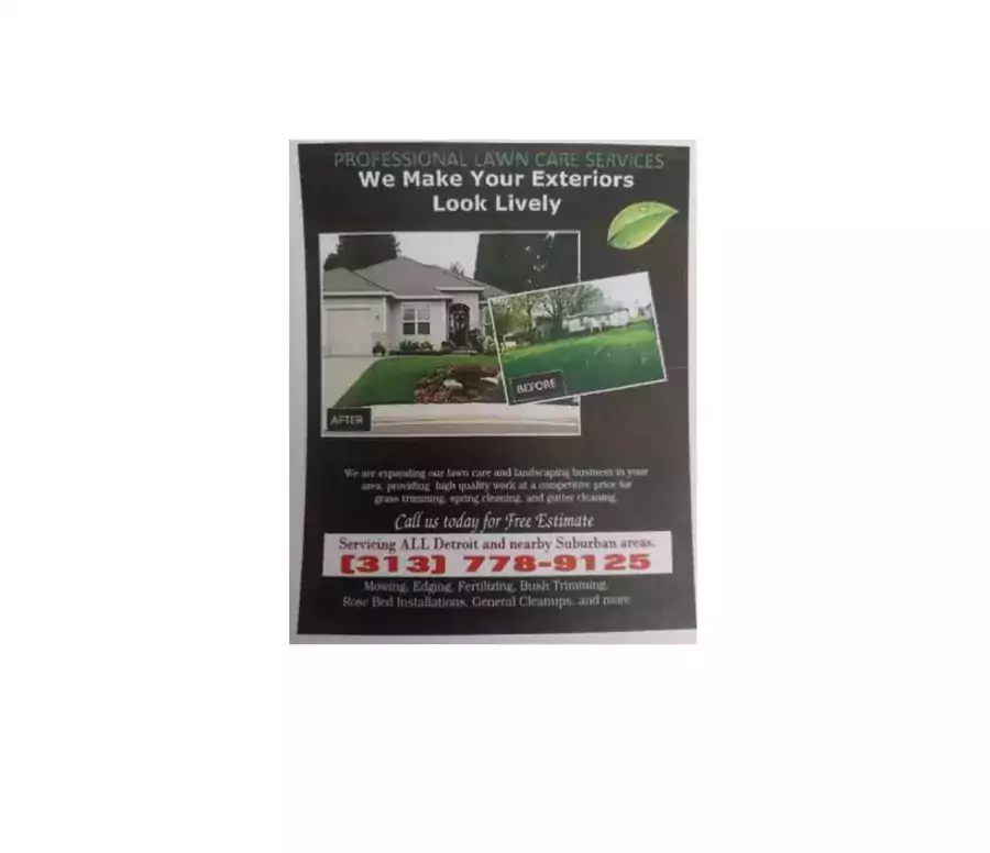 Мы чистим забор! рулим деревья! установите забор! - Уход за газоном в Детройте