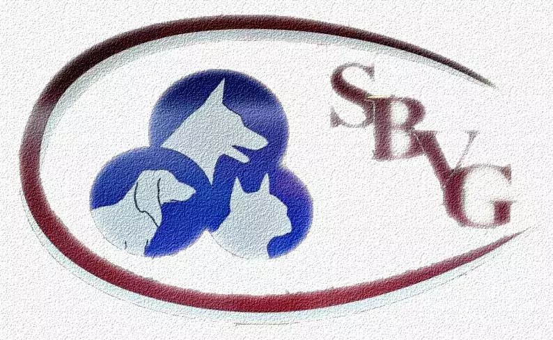 Sheepshead Bay Veterinary Group - Ветеринарные клиники в Бруклине