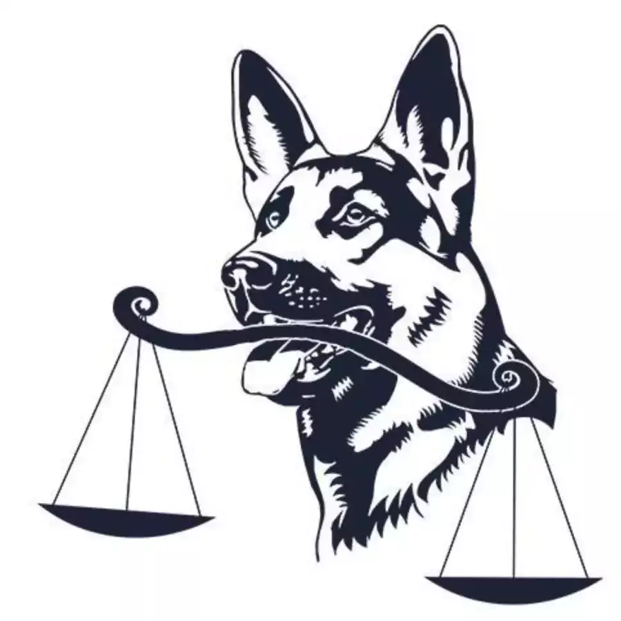 Адвокатского бюро Алекса Грузмана - Иммиграционный адвокат, Адвокат по семейному праву в Лос-Анджелесе