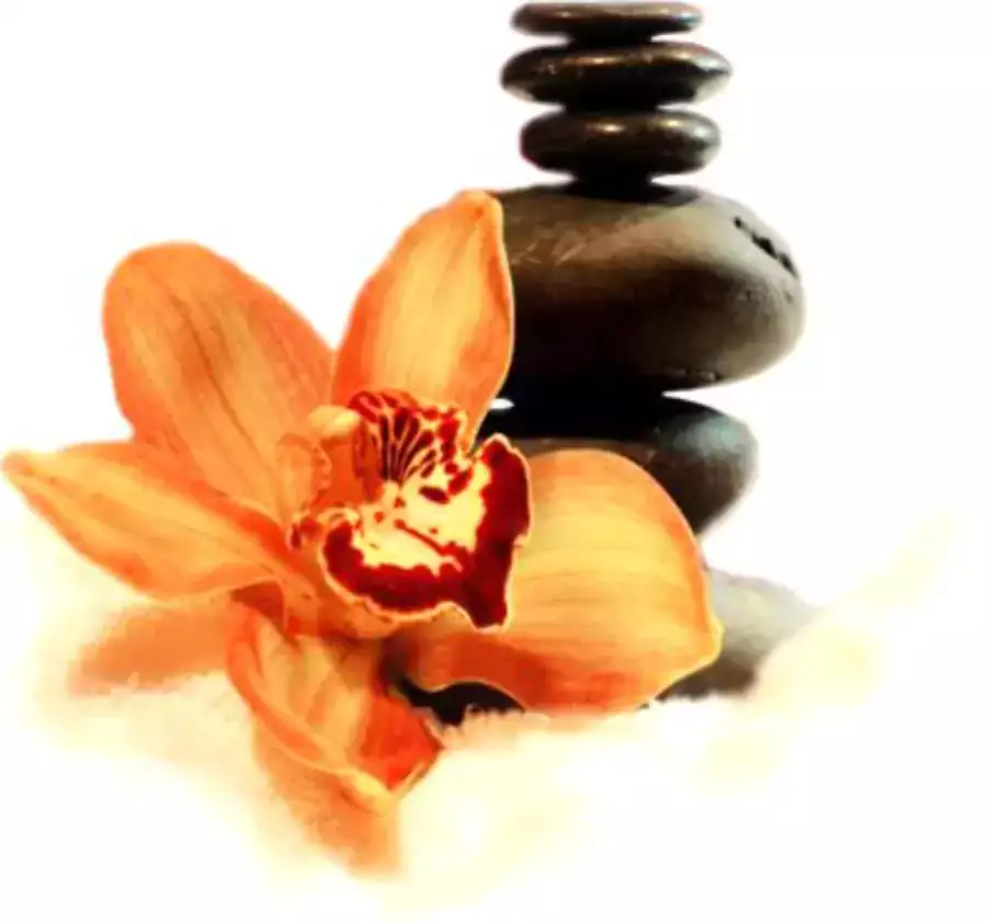 BRC Day Spa & Sauna Resort - Баня и сауна в Джерси-Сити