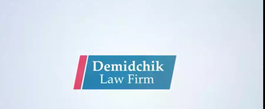 Анна Демидчик - Иммиграционный адвокат, Уголовный адвокат в Сан-Хосе