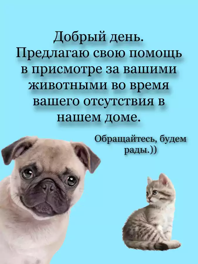 Няня для животных - Няни в Лас-Вегасе