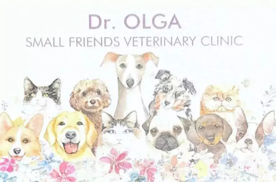 Ольга Коробкова DVM Small Friends Veterinary Clinic - Ветеринарные клиники в Бруклине