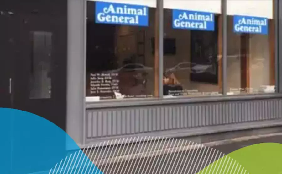 Animal General - Ветеринарные клиники в Нью-Йорке
