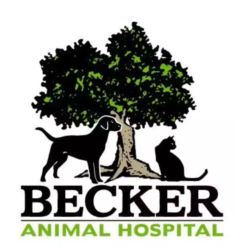 DR. Катерина Илюхина/ Becker Animal Hospital,  - Ветеринарные клиники в Чикаго