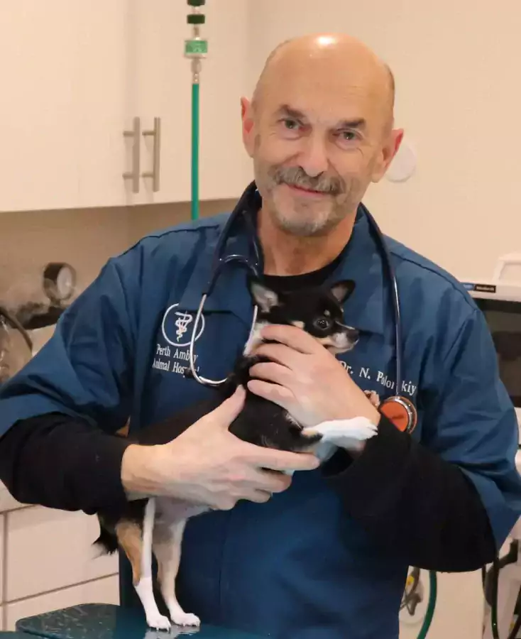 Наум Полонский/Animal hospital of Perth Amboy - Ветеринарные клиники в Джерси-Сити