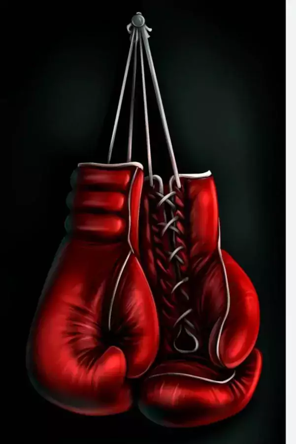Индивидуальные тренировки по боксу - Спорт в Далласе
