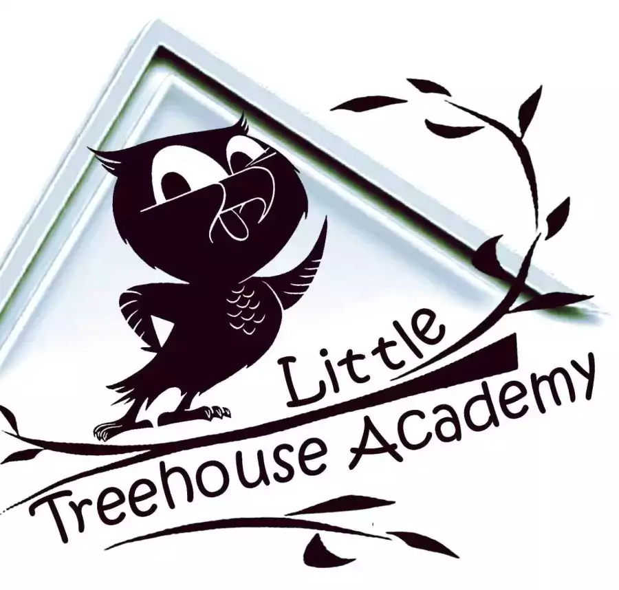 Little Treehouse Academy - Летний лагерь в Лос-Анджелесе
