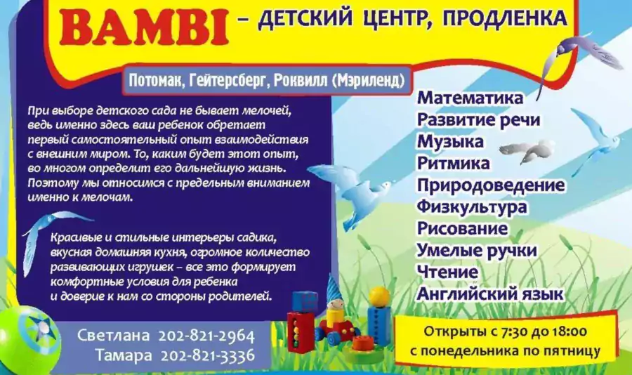 Russian Bambi Gymnasium-Sioux Ln - Детские сады в Балтиморе