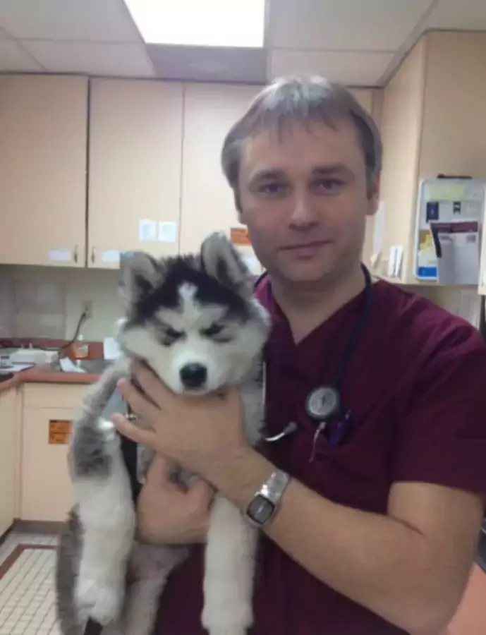 Ivan Yevseyenko, DVM/Corona Community Veterinary Hospital - Ветеринарные клиники в Лос-Анджелесе