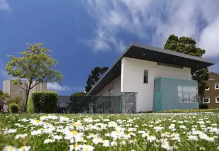 Montessori Children's Center - Летний лагерь в Сан-Франциско