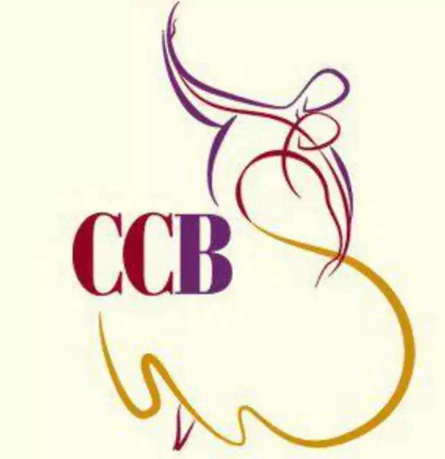 Chevy Chase Ballroom & DanceSport Center - Уроки танцев в Вашингтоне