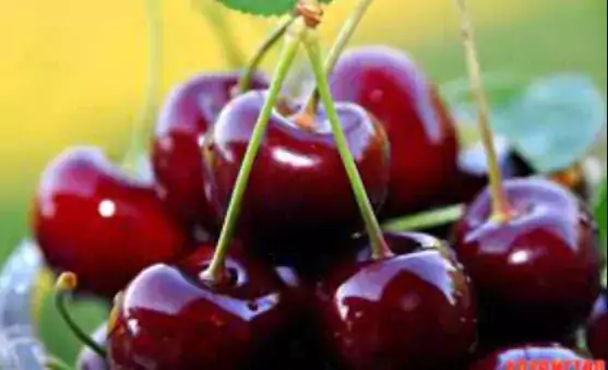 Максим, Свежая Черешня - Магазины в Сакраменто