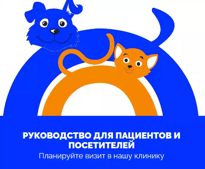 Oceanside Animal Clinic - Ветеринарные клиники в Бруклине