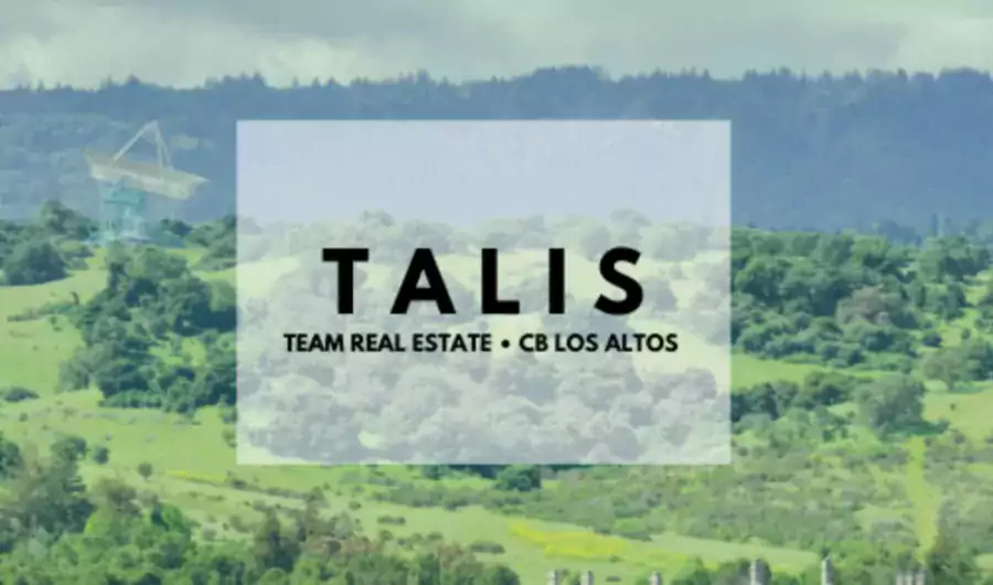 Michael Talis Real Estate - Риэлторы в Сан-Антонио