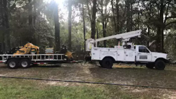 Southern Touch Tree Service/Услуги лесорубов - Другие услуги в Орландо