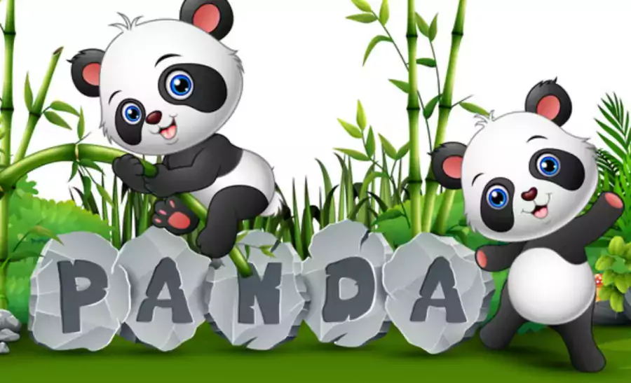 Panda Daycare - Детские сады в Нью-Йорке