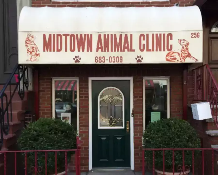 Midtown Animal Hospital - Ветеринарные клиники в Нью-Йорке