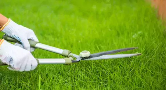 Андрей-ООО «Выше газона»  - Уход за газоном в Кливленде