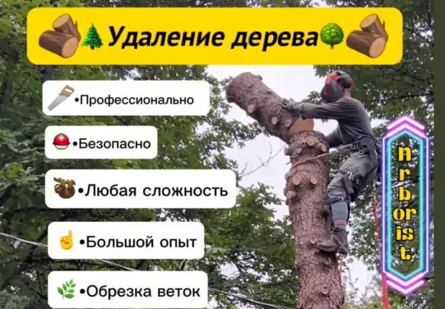 Услуги Арбориста - Другие услуги в Сиэтле