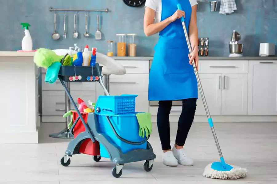 Fiery Phoenix - Уборка / Клининг в Чикаго