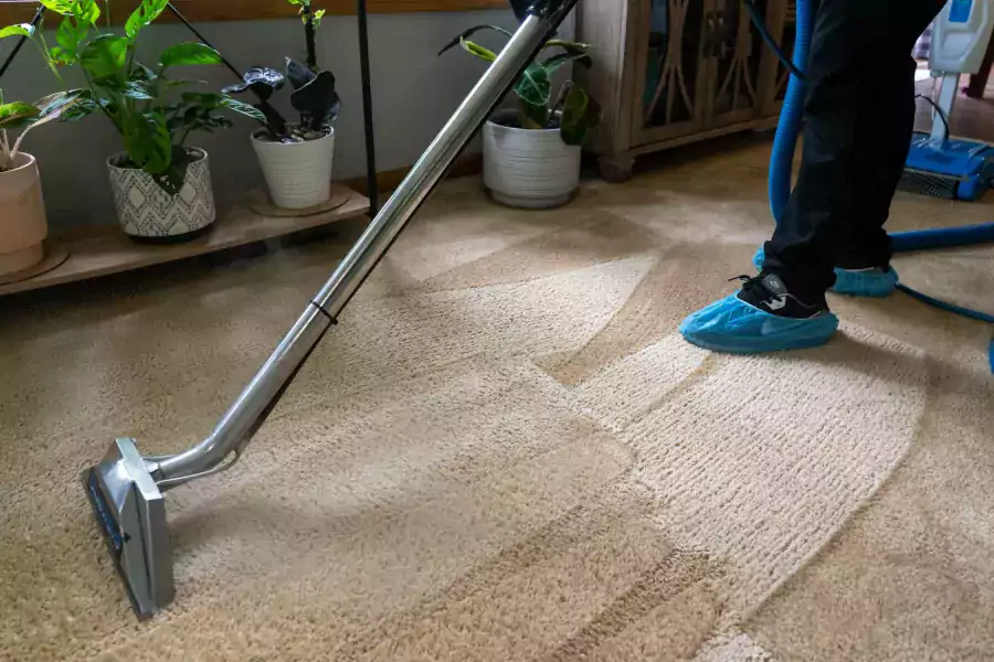 Чистка Ковров - Уборка / Клининг в Сиэтле