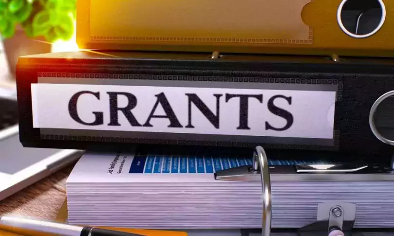 Professional Grant Application Writing (en, ua, ru) - Бизнес поддержка в США