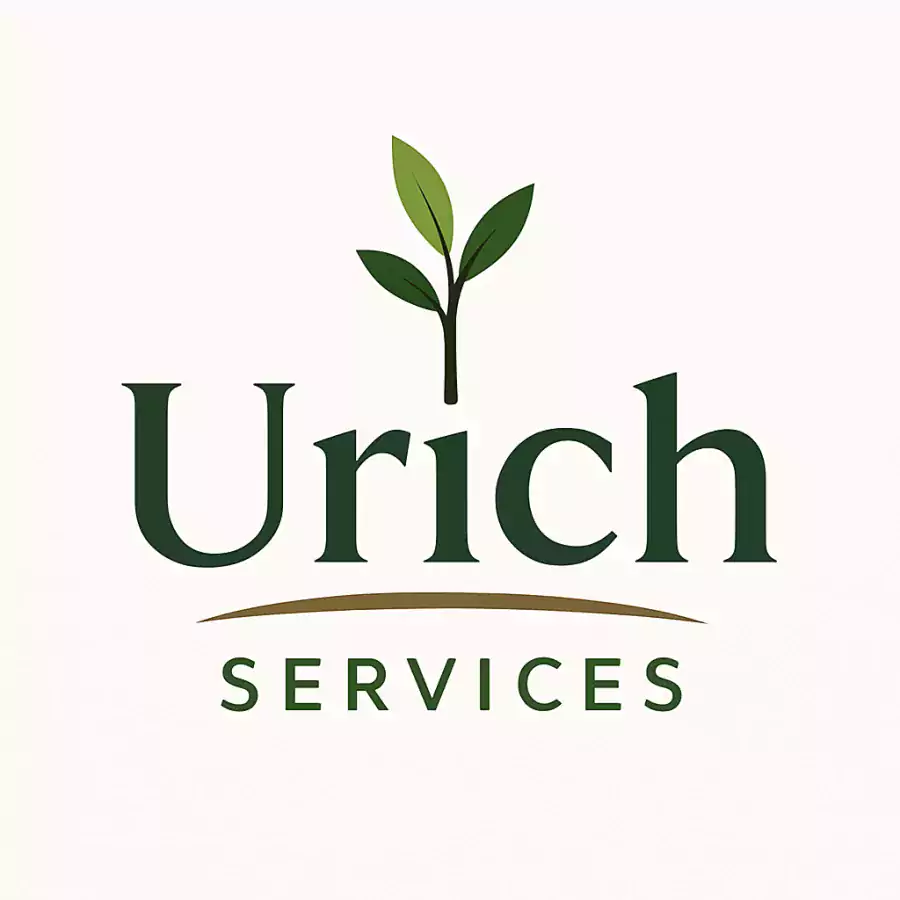 Urich Services - Другие услуги в Чикаго